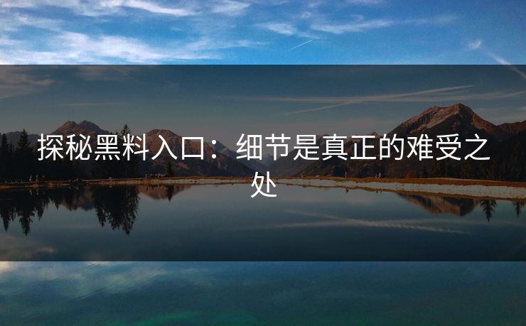 探秘黑料入口：细节是真正的难受之处  第1张