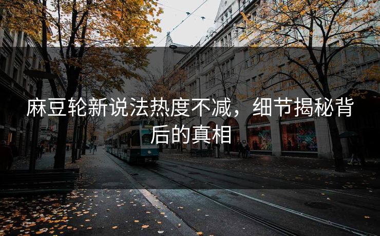 麻豆轮新说法热度不减，细节揭秘背后的真相  第1张