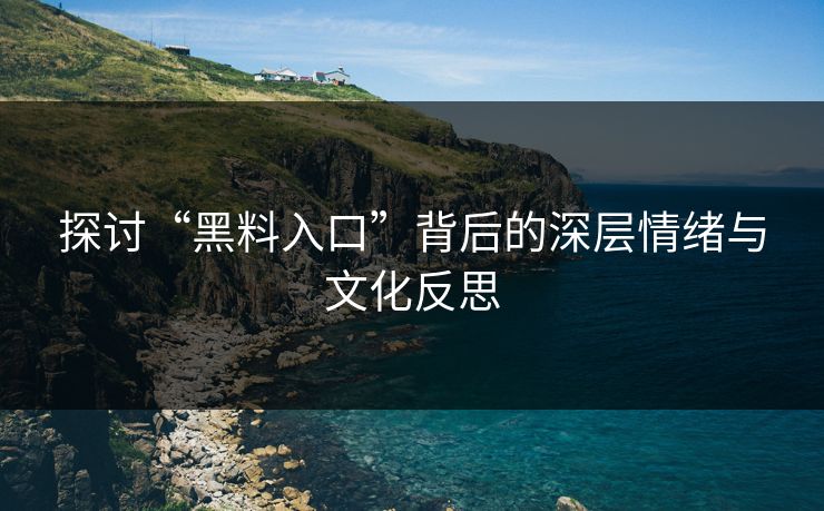 探讨“黑料入口”背后的深层情绪与文化反思  第1张