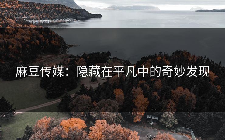 麻豆传媒：隐藏在平凡中的奇妙发现  第1张