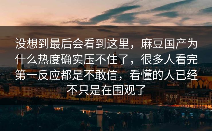 没想到最后会看到这里，麻豆国产为什么热度确实压不住了，很多人看完第一反应都是不敢信，看懂的人已经不只是在围观了  第1张