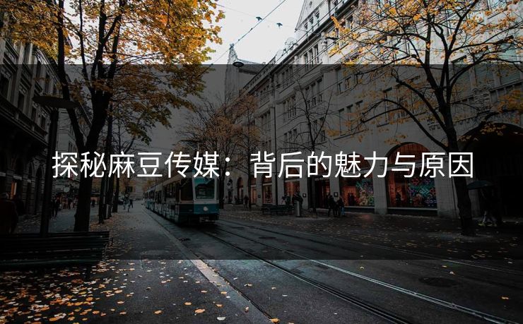 探秘麻豆传媒:背后的魅力与原因 第1张 探秘麻豆传媒:背后的魅力与原因 第1张