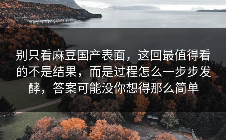 别只看麻豆国产表面,这回最值得看的不是结果,而是过程怎么一步步发酵,答案可能没你想得那么简单 第1张 别只看麻豆国产表面,这回最值得看的不是结果,而是过程怎么一步步发酵,答案可能没你想得那么简单 第1张