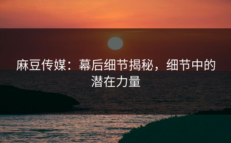 麻豆传媒：幕后细节揭秘，细节中的潜在力量  第1张