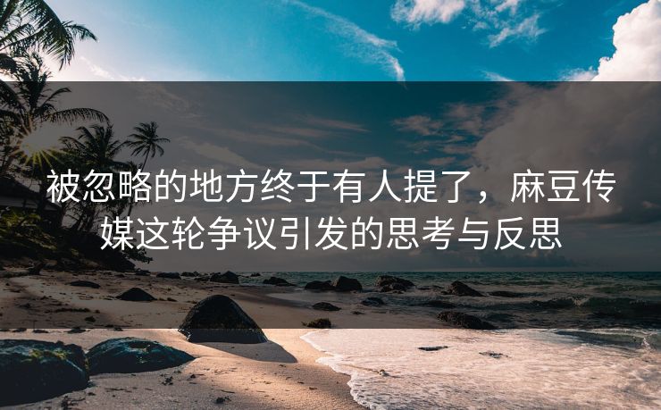 被忽略的地方终于有人提了,麻豆传媒这轮争议引发的思考与反思 第1张 被忽略的地方终于有人提了,麻豆传媒这轮争议引发的思考与反思 第1张