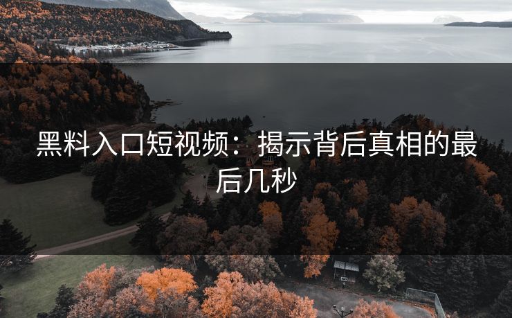 黑料入口短视频：揭示背后真相的最后几秒  第1张